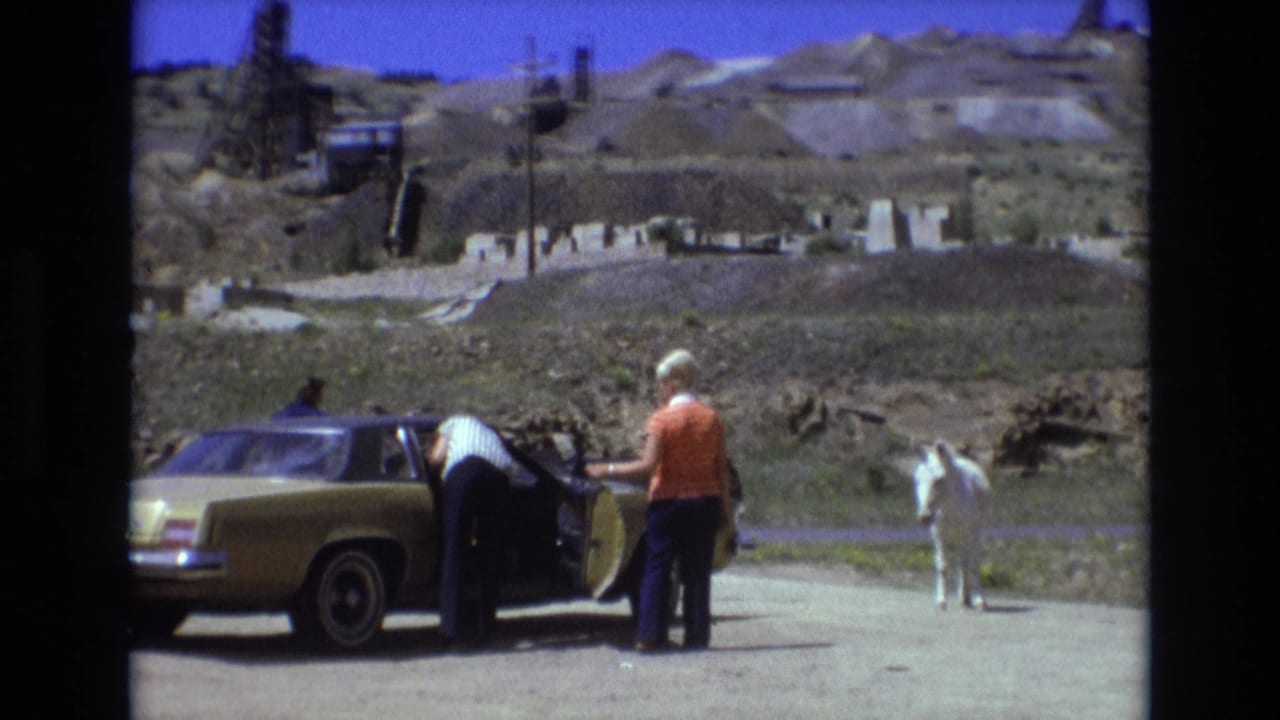 A man in a striped shirt leans into the open door of a gold sedan as a woman in an orange top waits nearby, with a white donkey and dry Colorado hills behind them.