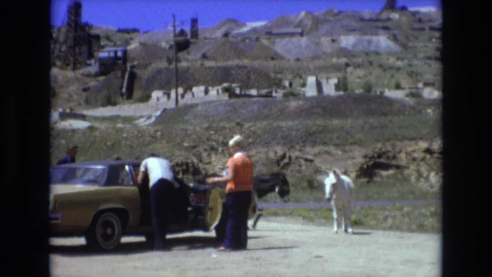 The man continues reaching into the open sedan while the woman stands beside him, with the white donkey set apart against the dusty roadside and low arid hills.