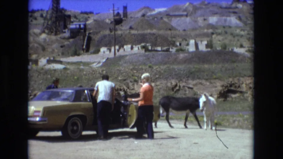 Beside the gold sedan in the Colorado Springs roadside scene, two adults remain near the open door as a dark donkey passes behind them and a white donkey stands at the edge of the frame.
