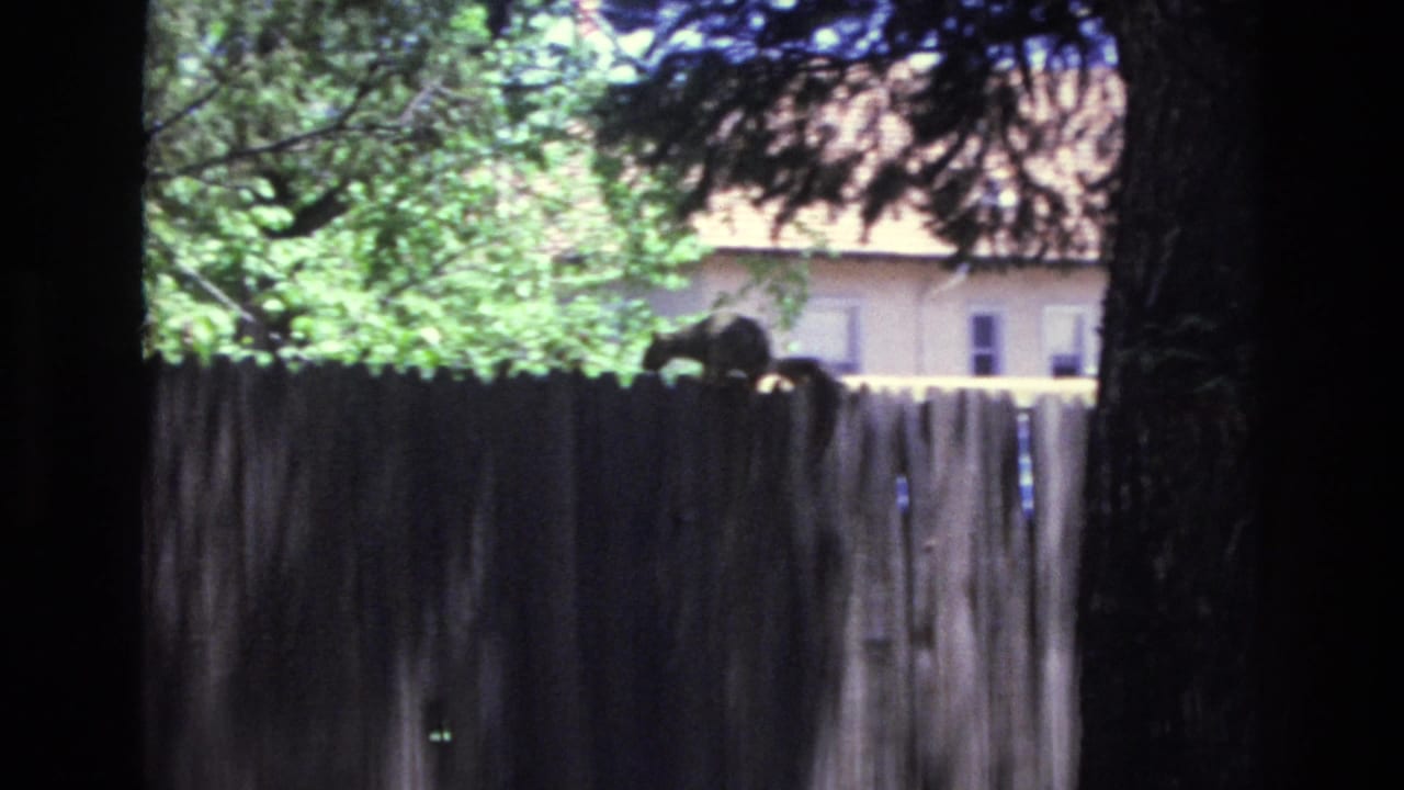 Small squirrel perched on a wooden fence beneath leafy trees.