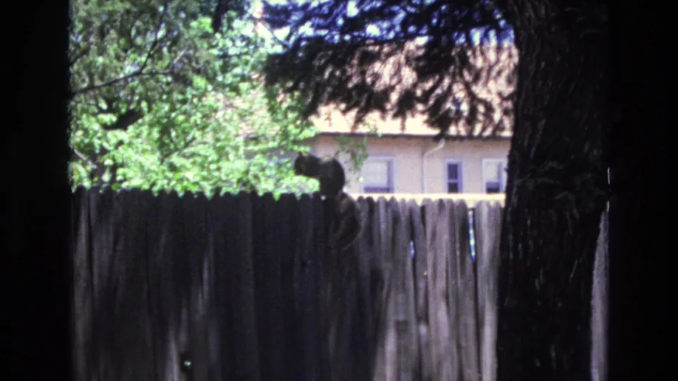 The handheld 8mm frame shows a squirrel balanced on a wooden fence in a shaded yard, with trees and a neighboring house visible beyond.