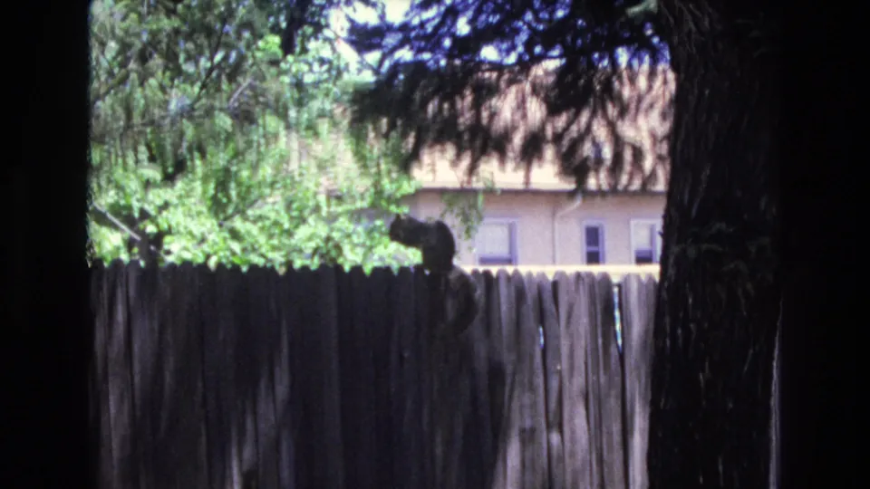 Colorado Springs home-movie frame with a squirrel on a wooden fence, dark tree trunks in the foreground, and a light-colored house partly visible through foliage.