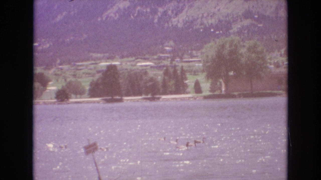 Ducks swim across a lake with mountains in the background.