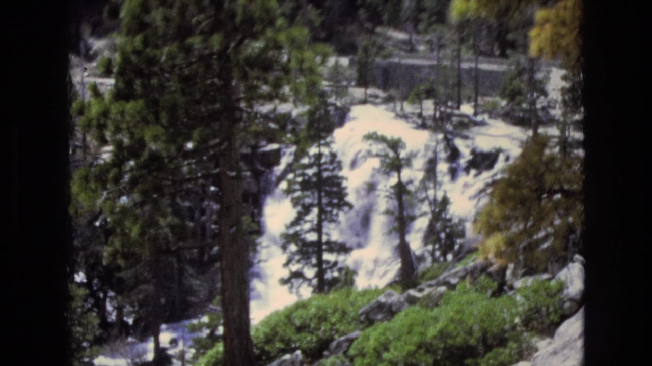 Bright waterfall behind trees with rocks and green shrubs in the foreground.