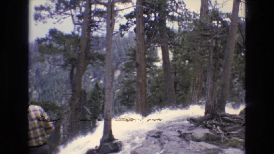 1973 Lake Tahoe forest frame showing tall pines, exposed roots, bright rushing water, and the partial lower-edge view of a person in a plaid shirt entering or standing near the frame.