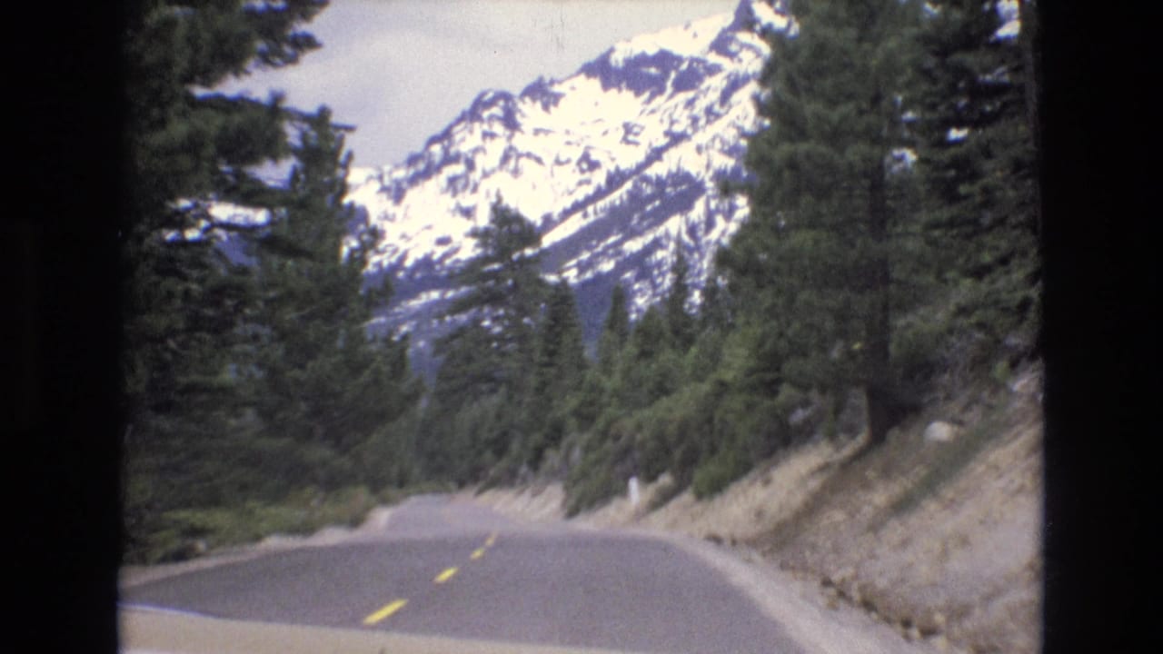 Curving road through dense trees with snowy mountain ridges in the distance.