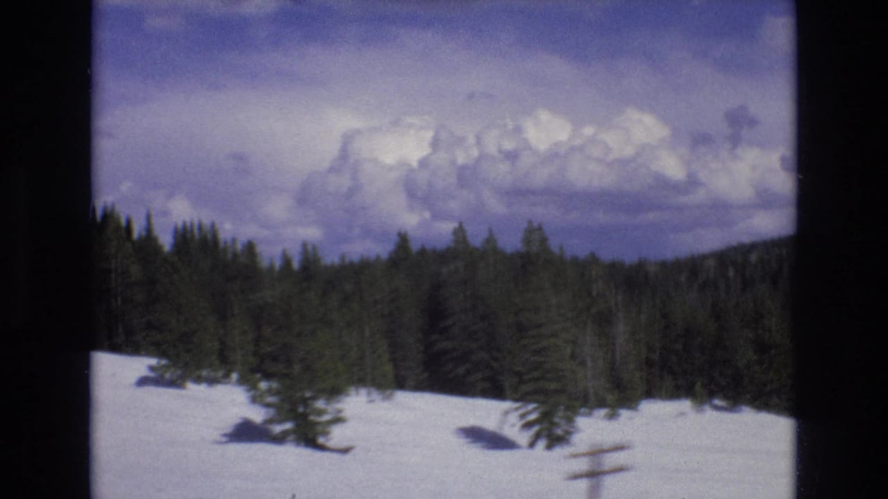 Snowy evergreen landscape under a cloudy sky.