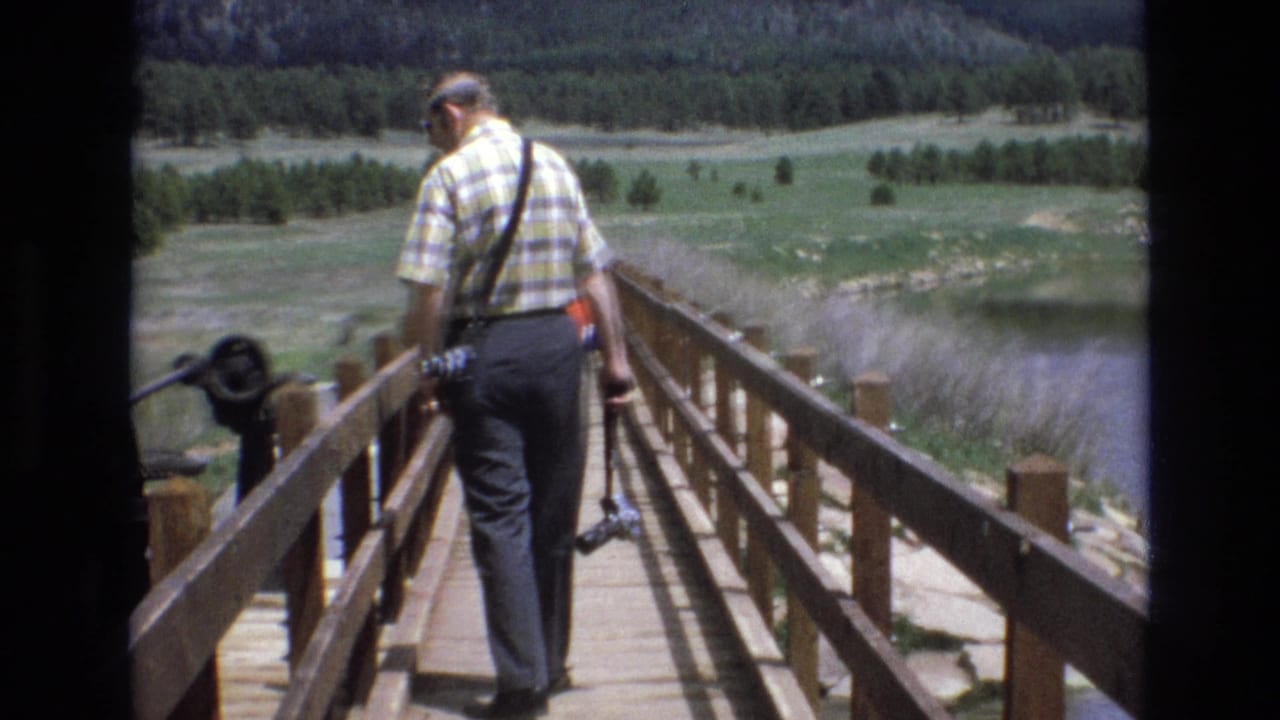 Man in a plaid shirt walks away across a wooden bridge near a lake and meadow.