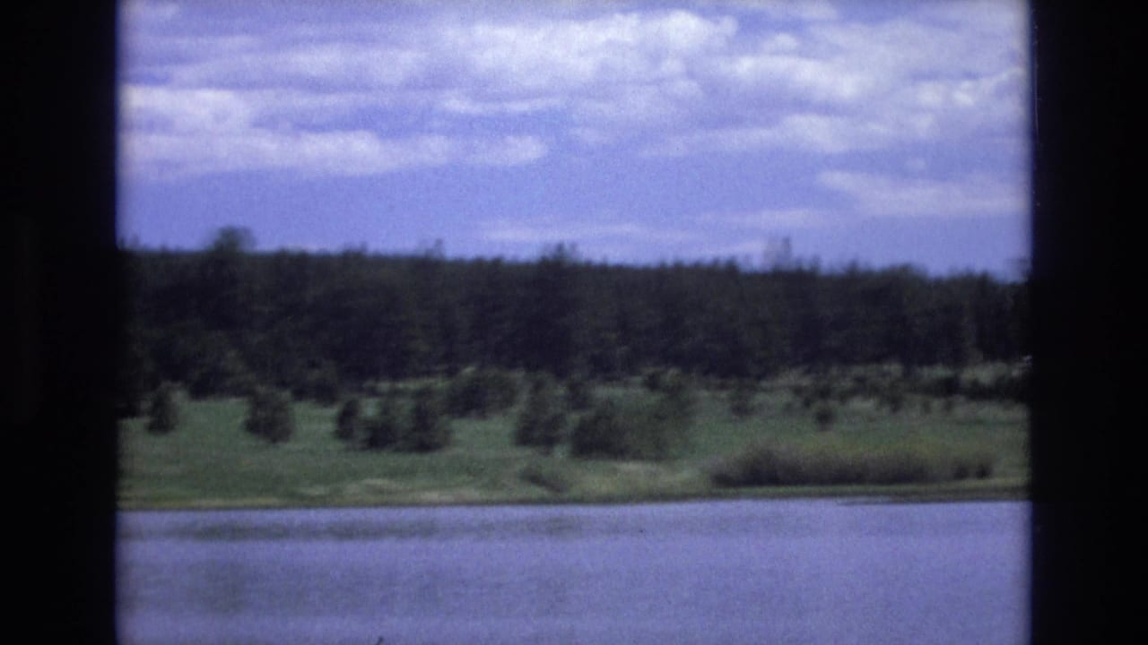 Lake foreground with green shoreline, trees, reeds, and cloudy sky behind dark vertical borders.