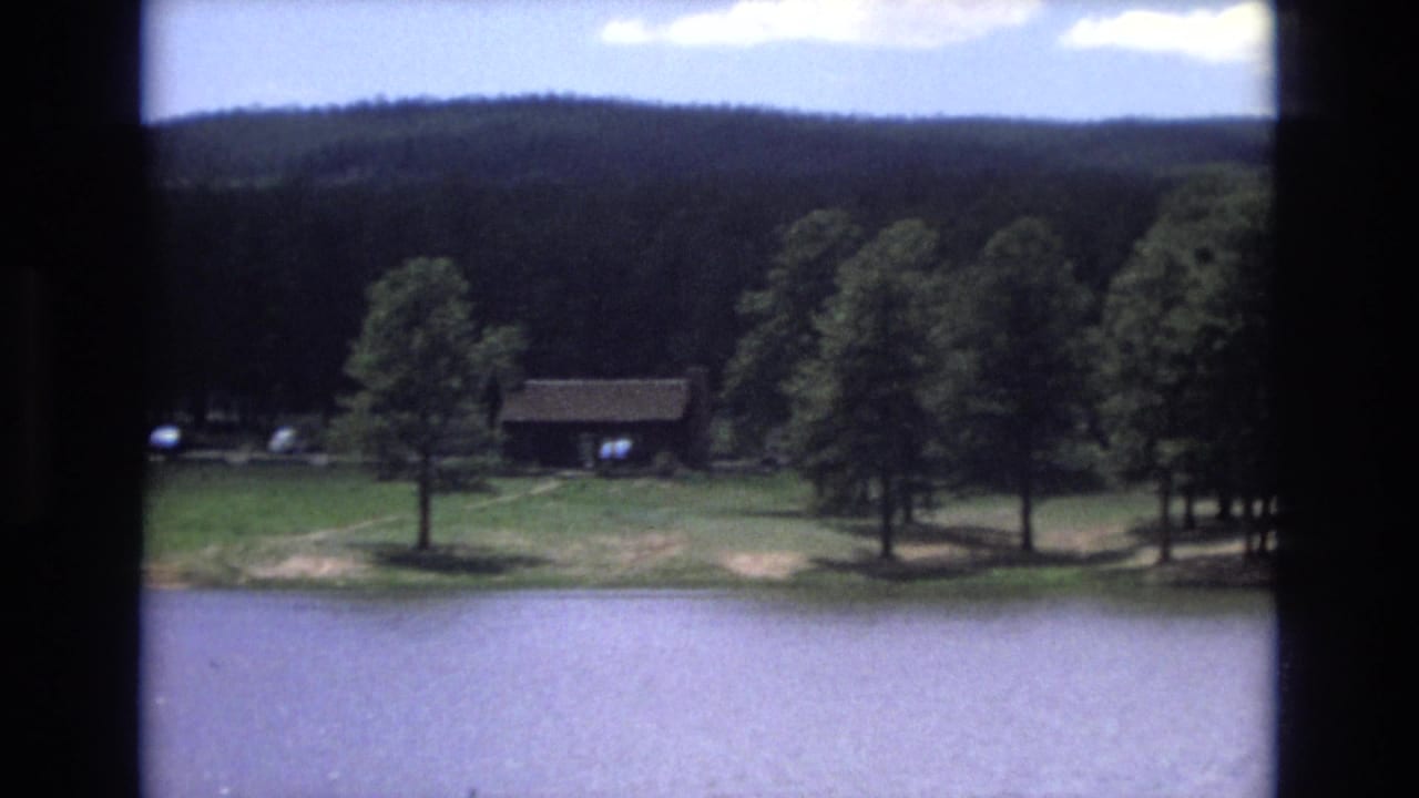 Calm lake with grassy pine shoreline and a small rustic building.