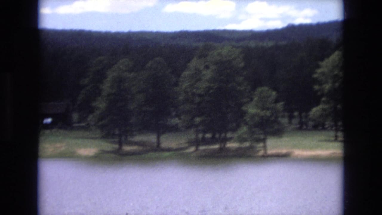 Pine trees line a grassy shore across calm lake water.