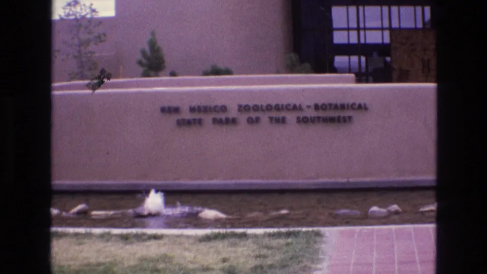 1973 New Mexico home-movie frame of the zoo-botanical park sign with a fountain, grass strip, walkway, and stucco building details visible.