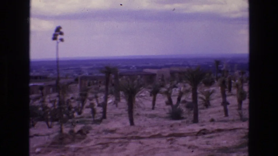 Desert landscape in New Mexico appears beyond the enclosure, with sandy ground, scattered palms or yucca-like plants, cacti, and a hazy horizon in vintage 8mm color.