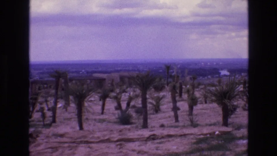 A wide desert view shows scattered palms or yucca-like plants and cacti under a hazy sky, framed by dark enclosure edges in 1973 New Mexico home-movie footage.