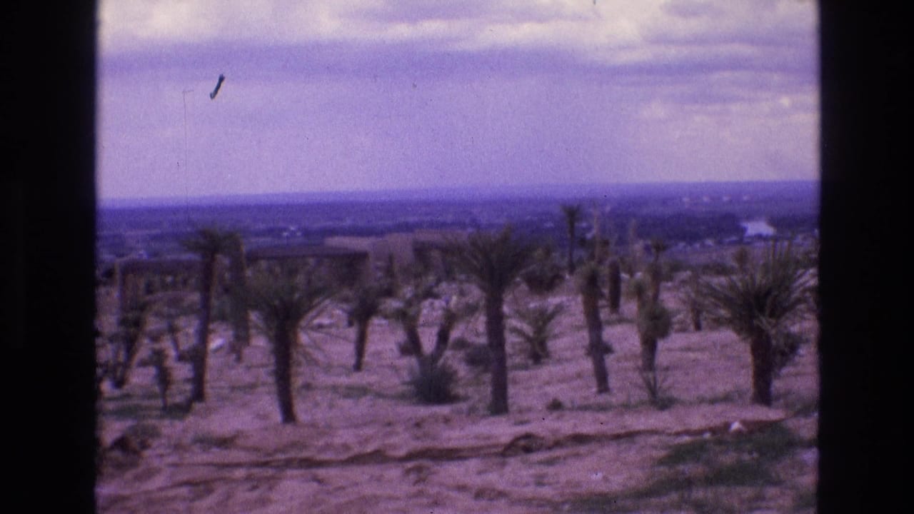 Wide dry landscape with scattered palms, low brush, distant flat horizon, and cloudy sky.