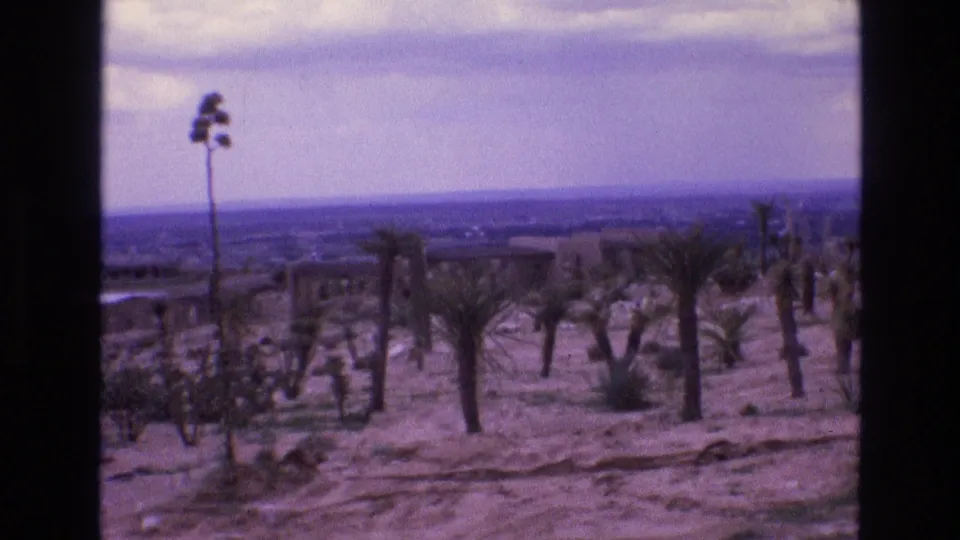 1973 New Mexico 8mm frame showing sandy desert ground with scattered palms or yucca-like plants, a tall agave-like flowering stalk, low shrubs, and a hazy distant horizon.