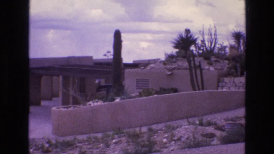 The camera frames a low adobe wall, flat-roof house, tall cactus, and dry desert landscaping in a New Mexico residential exterior from 1973.