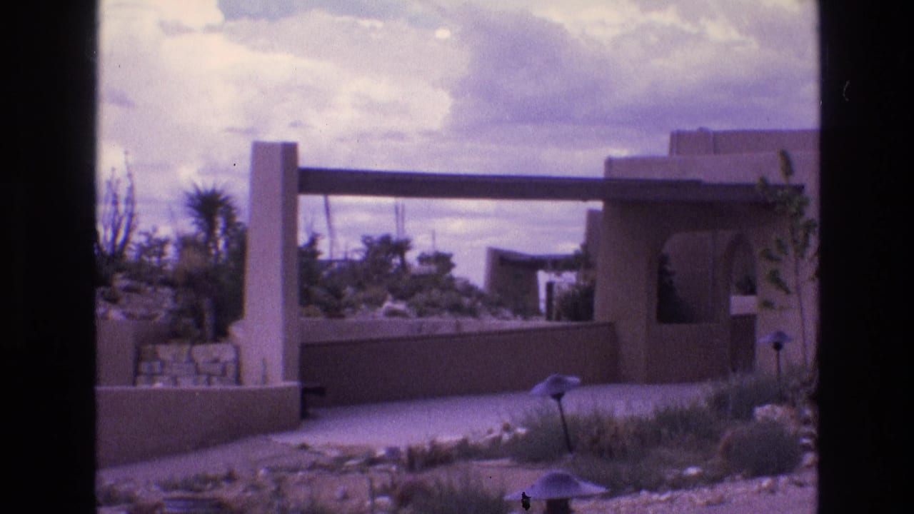 Desert house entrance area with stucco walls, garden plants, and small path light.