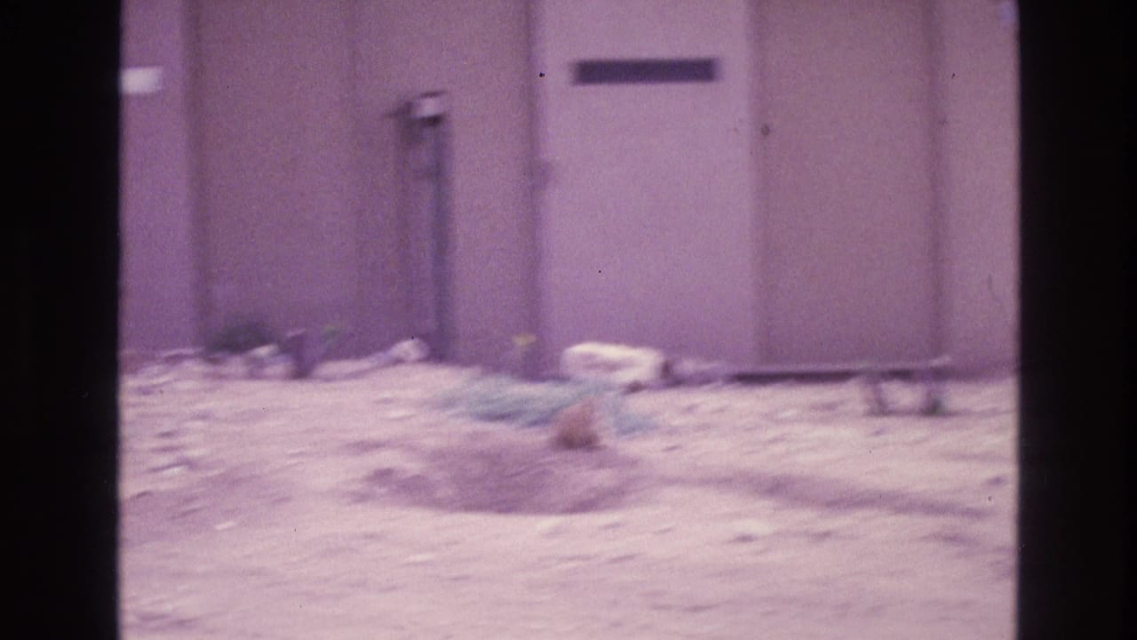 Soft, purple-tinted 8mm frame of a light brown cat low to the ground near a beige exterior wall in New Mexico, based on the supplied 1973 clip metadata.