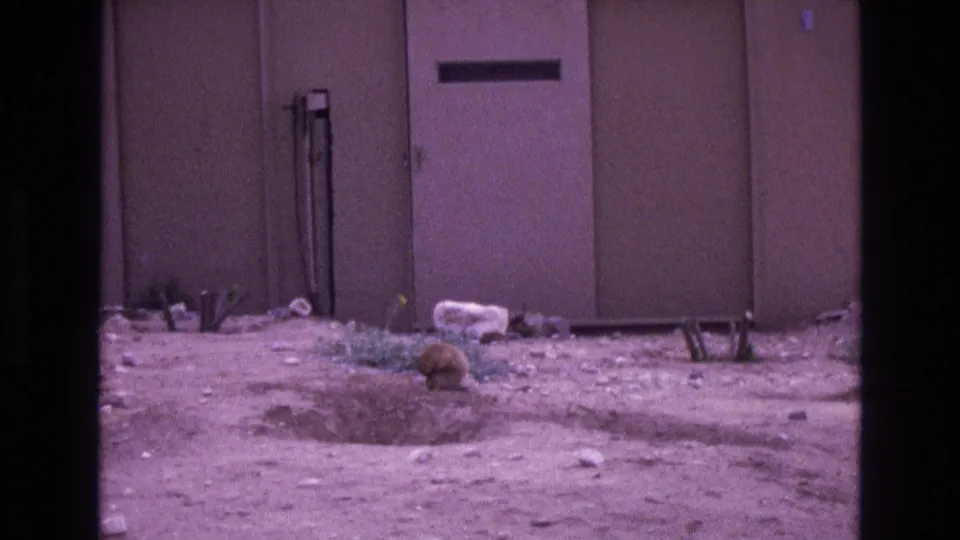 In this 1973 New Mexico 8mm frame, a prairie dog stands near a small burrow opening on dusty ground with a plain wall or enclosure edge behind it.