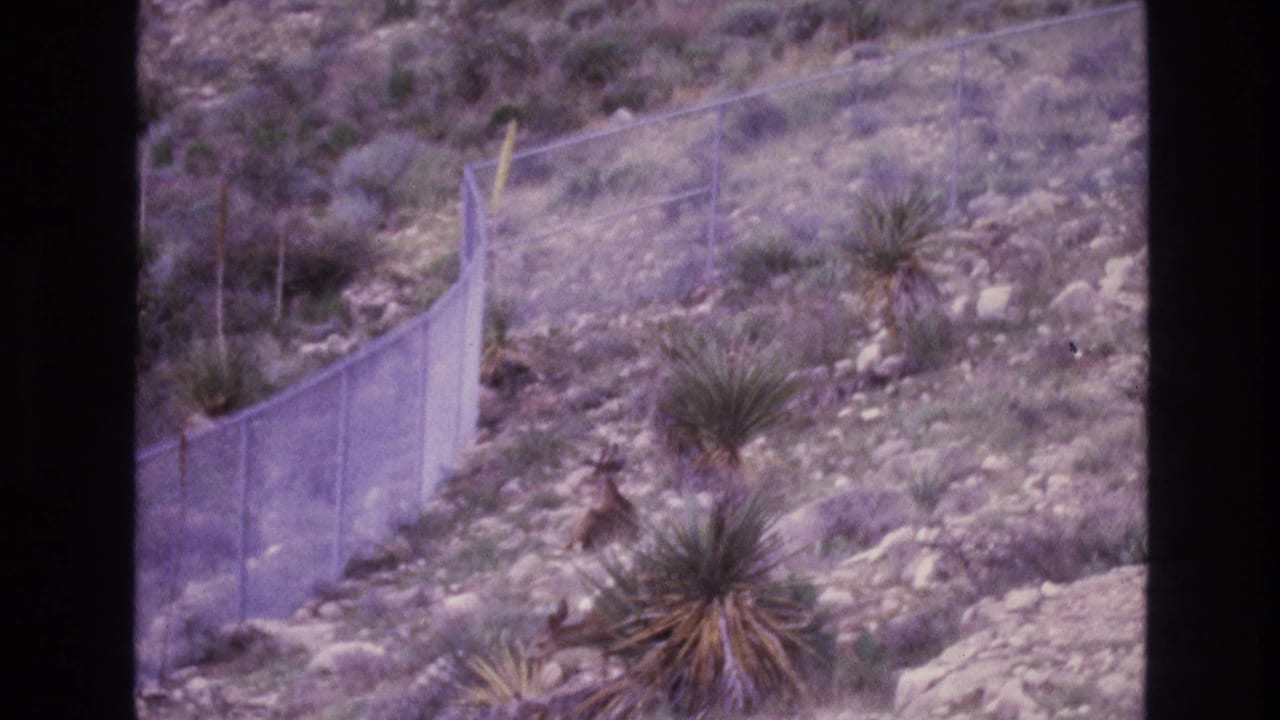 1973 New Mexico 8mm frame showing a chain-link fence running up a dry rocky hillside with sparse desert vegetation and a small deer-like shape near the slope.