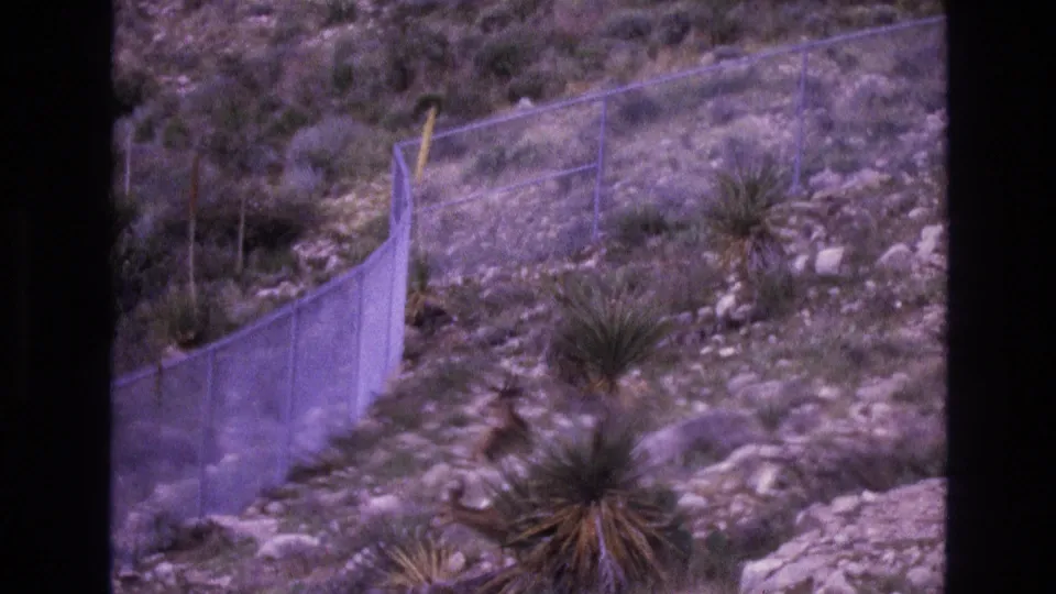 1973 New Mexico 8mm frame showing the fenced hillside from a closer angle, with rocky ground, yucca-like plants, and sparse arid vegetation.