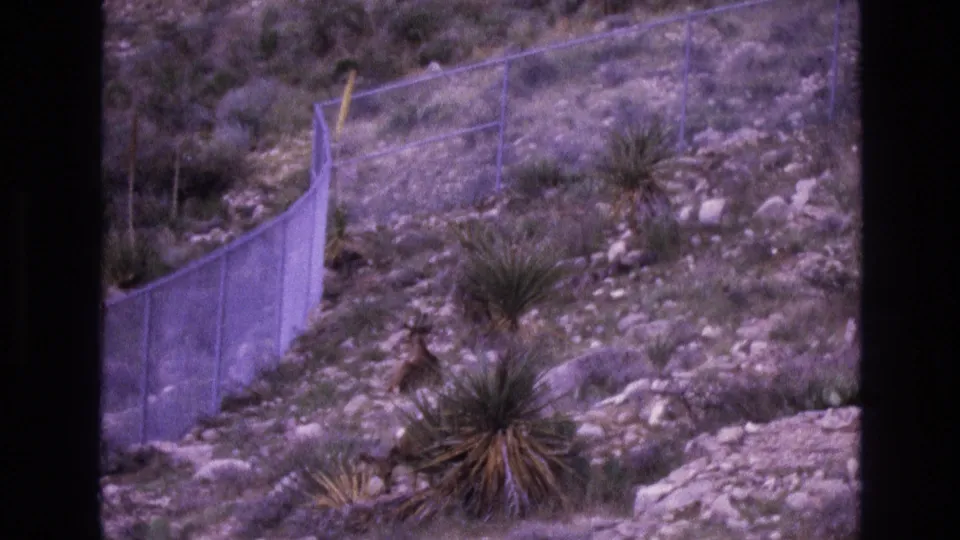 1973 New Mexico 8mm frame showing a dry rocky hillside crossed by chain-link fencing, with yucca-like plants and sparse shrubs in the arid terrain.