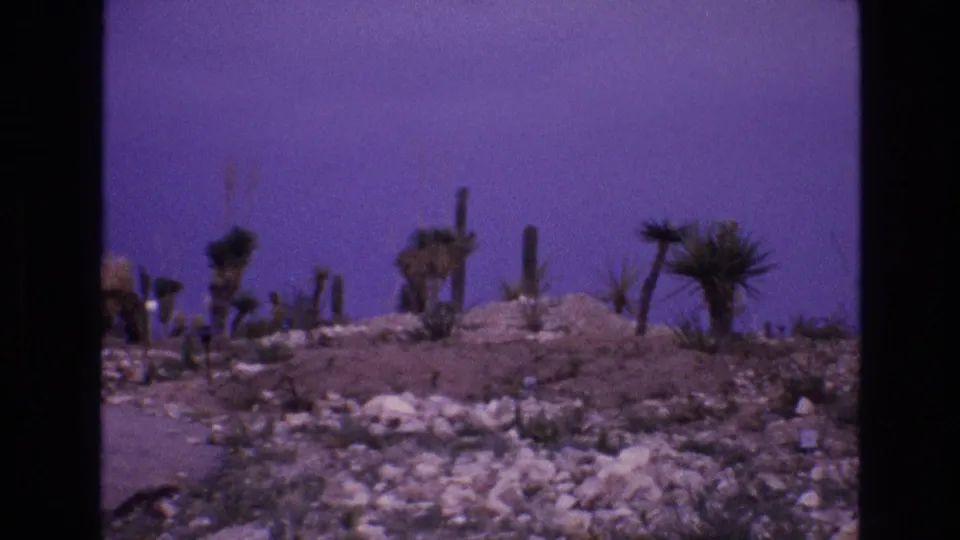 Rocky New Mexico desert terrain fills the frame, with cactus and yucca-like plants silhouetted against the saturated 8mm sky.