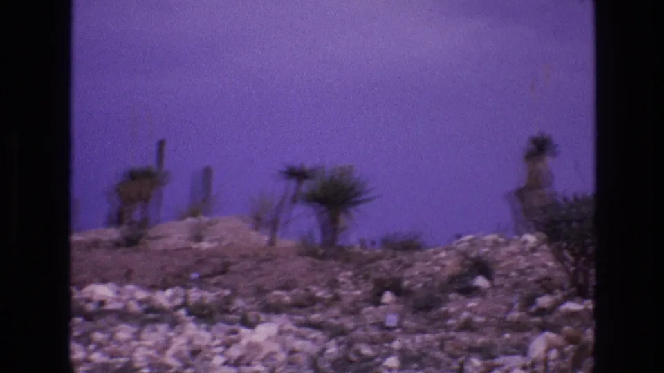 The camera holds on a rocky desert slope in New Mexico, showing cactus and yucca-like plants rendered with soft, purple-shifted 8mm color.