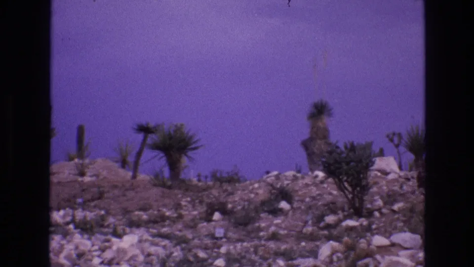 1973 8mm New Mexico desert view showing a rocky slope with scattered boulders, scrub vegetation, and tall Joshua-tree-form plants beneath a purple-shifted sky.