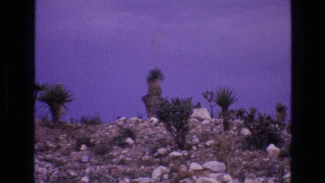 1973 8mm New Mexico landscape frame with pale rocks, low desert brush, and several tall spiky plants across an arid hillside.