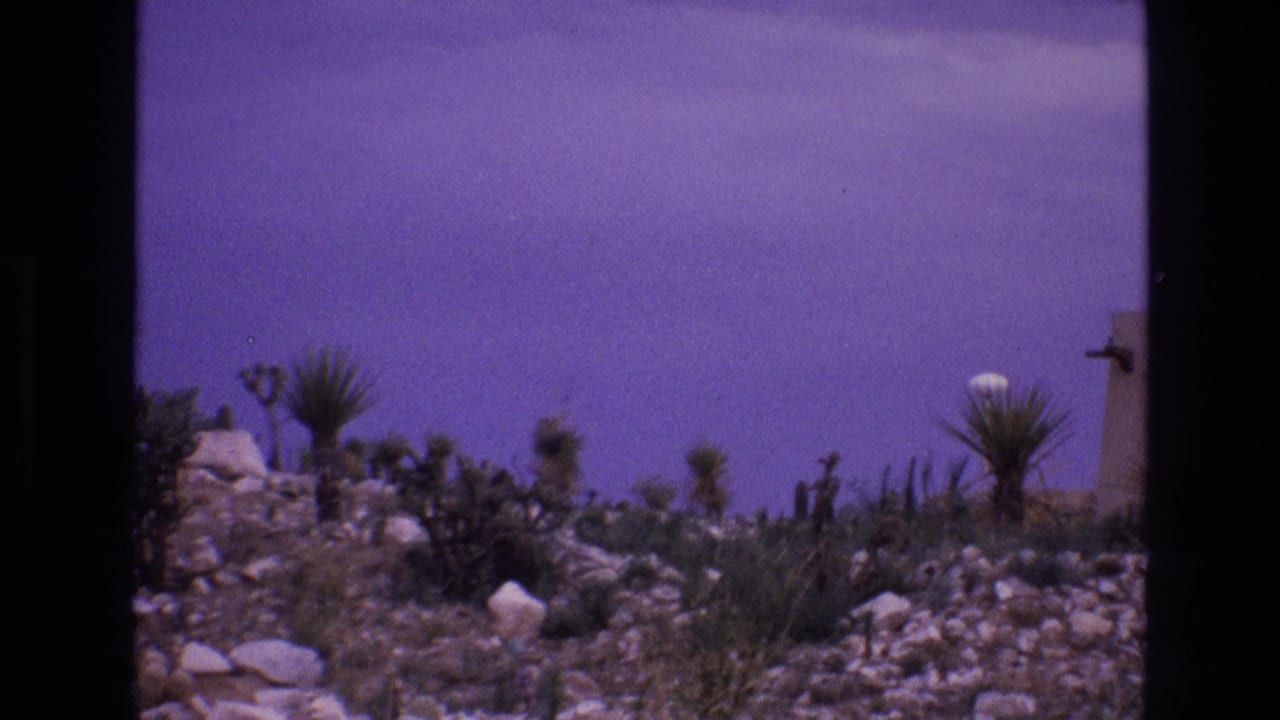 1973 8mm New Mexico desert view with rocky ground, yucca-like plants, scrub vegetation, a purple color cast, and partial low structures at the edge of frame.