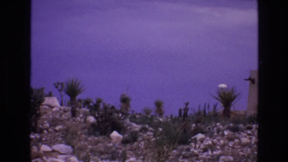 1973 8mm New Mexico desert view with rocky ground, yucca-like plants, scrub vegetation, a purple color cast, and partial low structures at the edge of frame.
