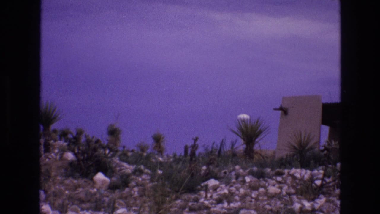 Rocky desert vegetation beneath a purple sky with a partial low wall or structure.