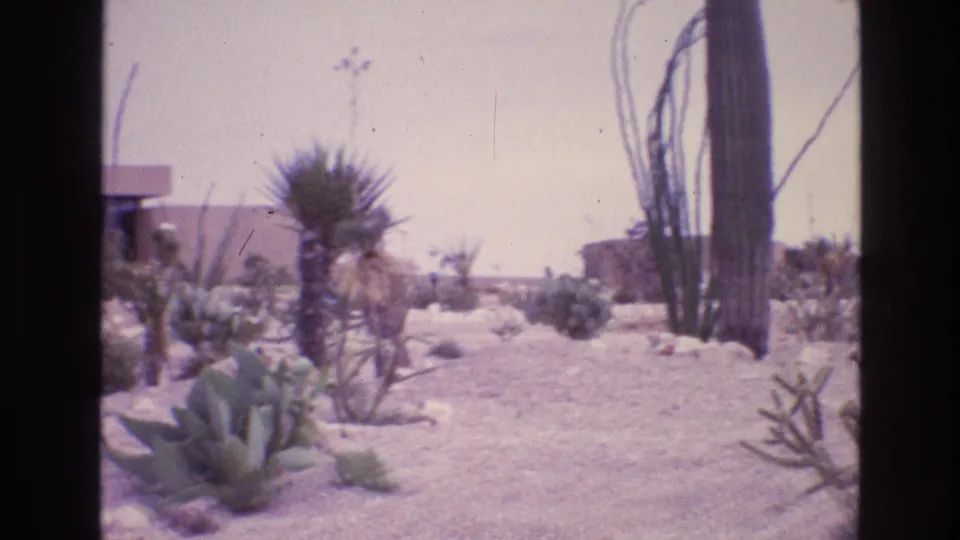 1973 8mm New Mexico daylight frame of a desert garden with agave in the foreground, spiky yucca-like plants, rocky soil, a tall columnar cactus, and a low building edge.