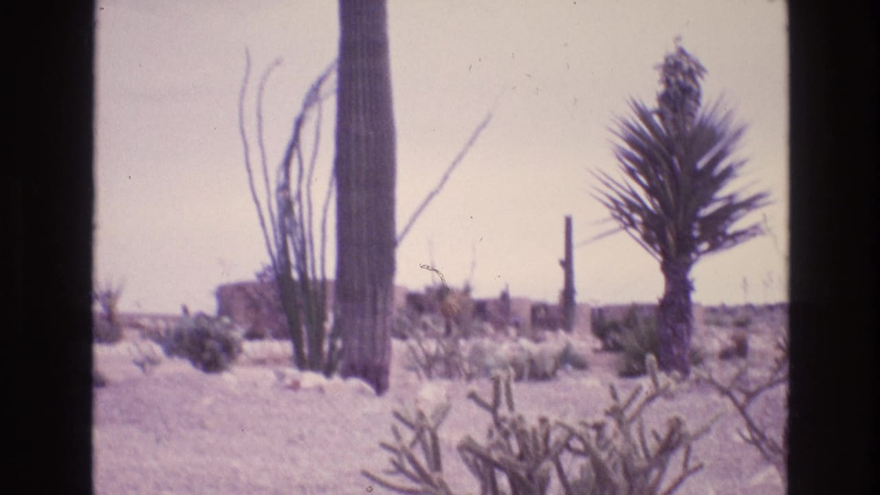 Desert vegetation with cactus and yucca-like plants appears in a sandy New Mexico landscape, consistent with the supplied 1973 home-movie context.