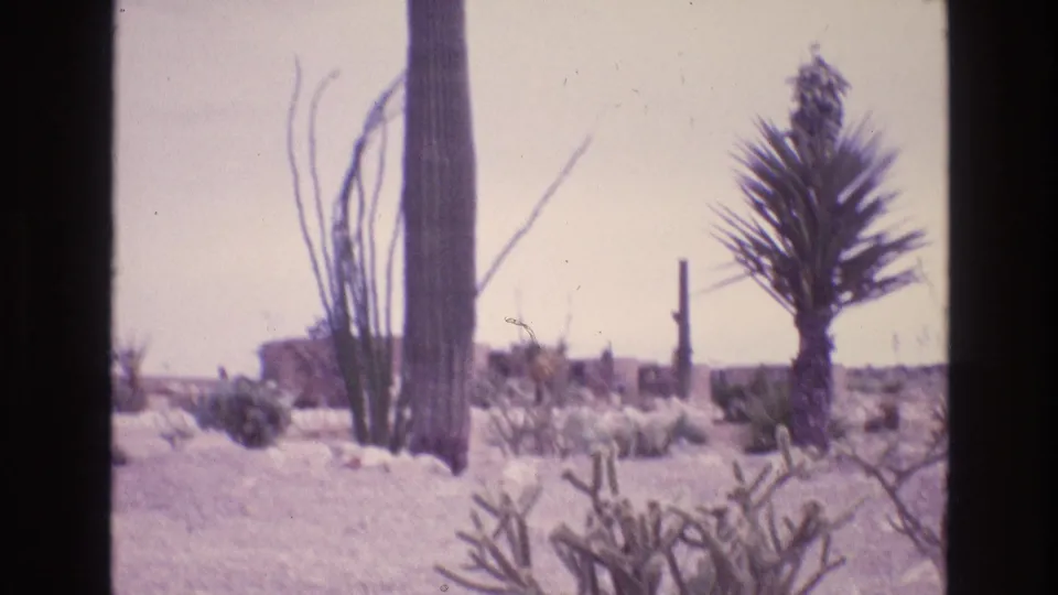 Desert vegetation with cactus and yucca-like plants appears in a sandy New Mexico landscape, consistent with the supplied 1973 home-movie context.