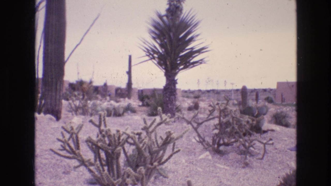 A second view of arid landscaping shows cactus, scrub, and a yucca-like plant in New Mexico, matching the clip's 1973 Southwest setting metadata.