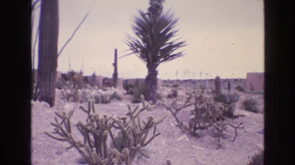 A second view of arid landscaping shows cactus, scrub, and a yucca-like plant in New Mexico, matching the clip's 1973 Southwest setting metadata.