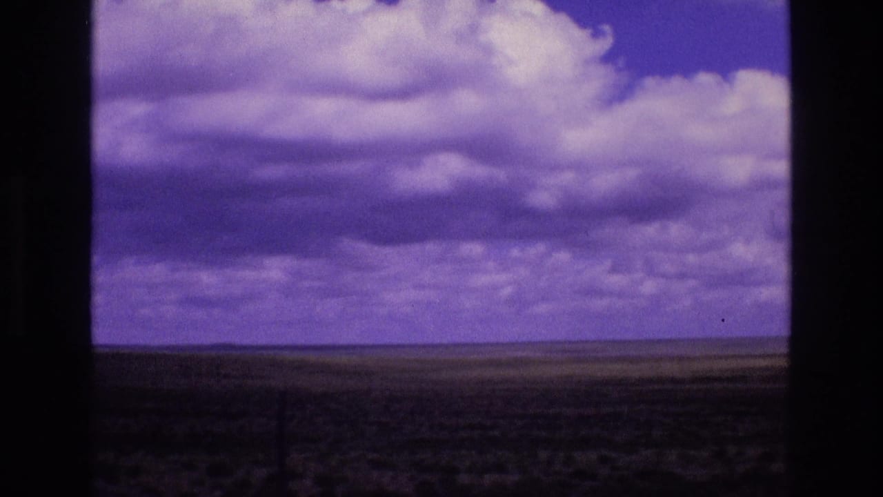 Wide grassland horizon beneath a purple-blue cloudy sky within dark 8mm frame borders.