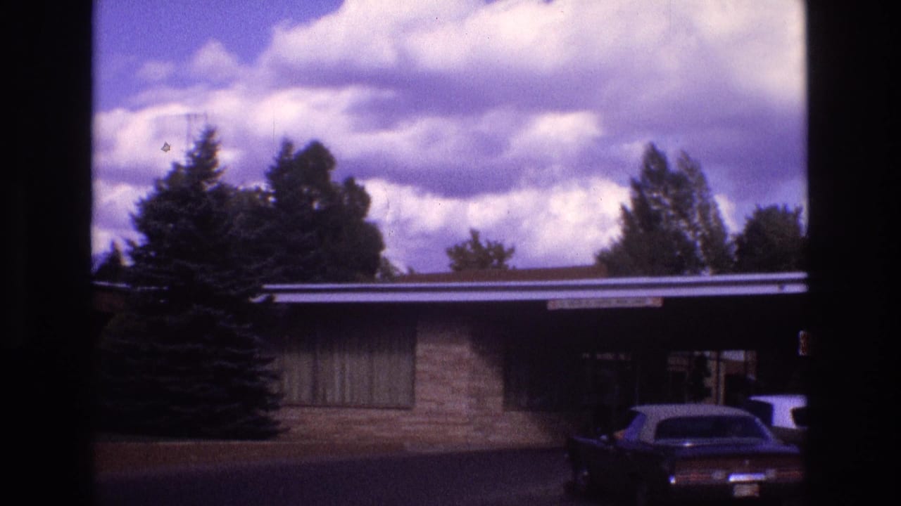 House exterior with a flat roof, evergreen trees, driveway, and dark parked car in front.