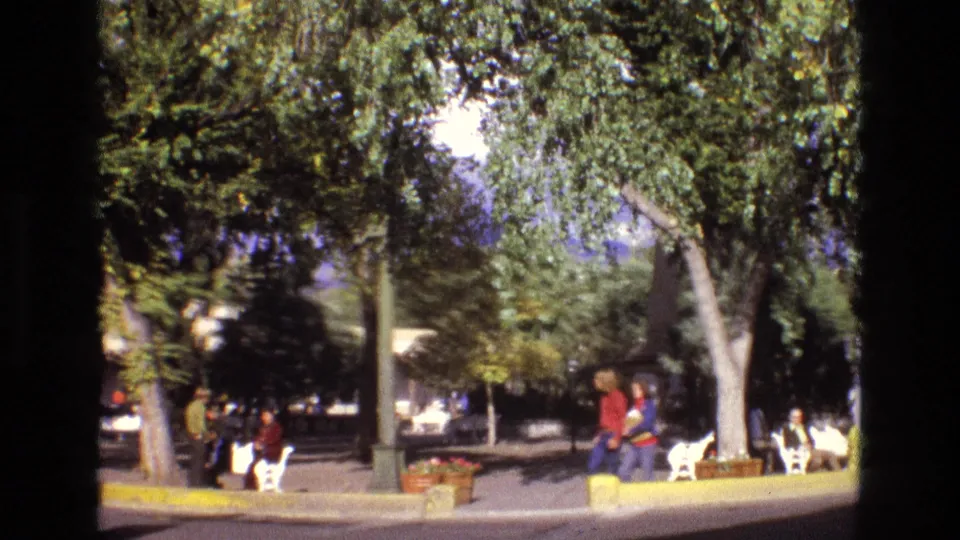 1973 New Mexico park frame with large trees, shaded benches, people gathered near the walkway, and small white animal figures or statues beside a yellow curb.