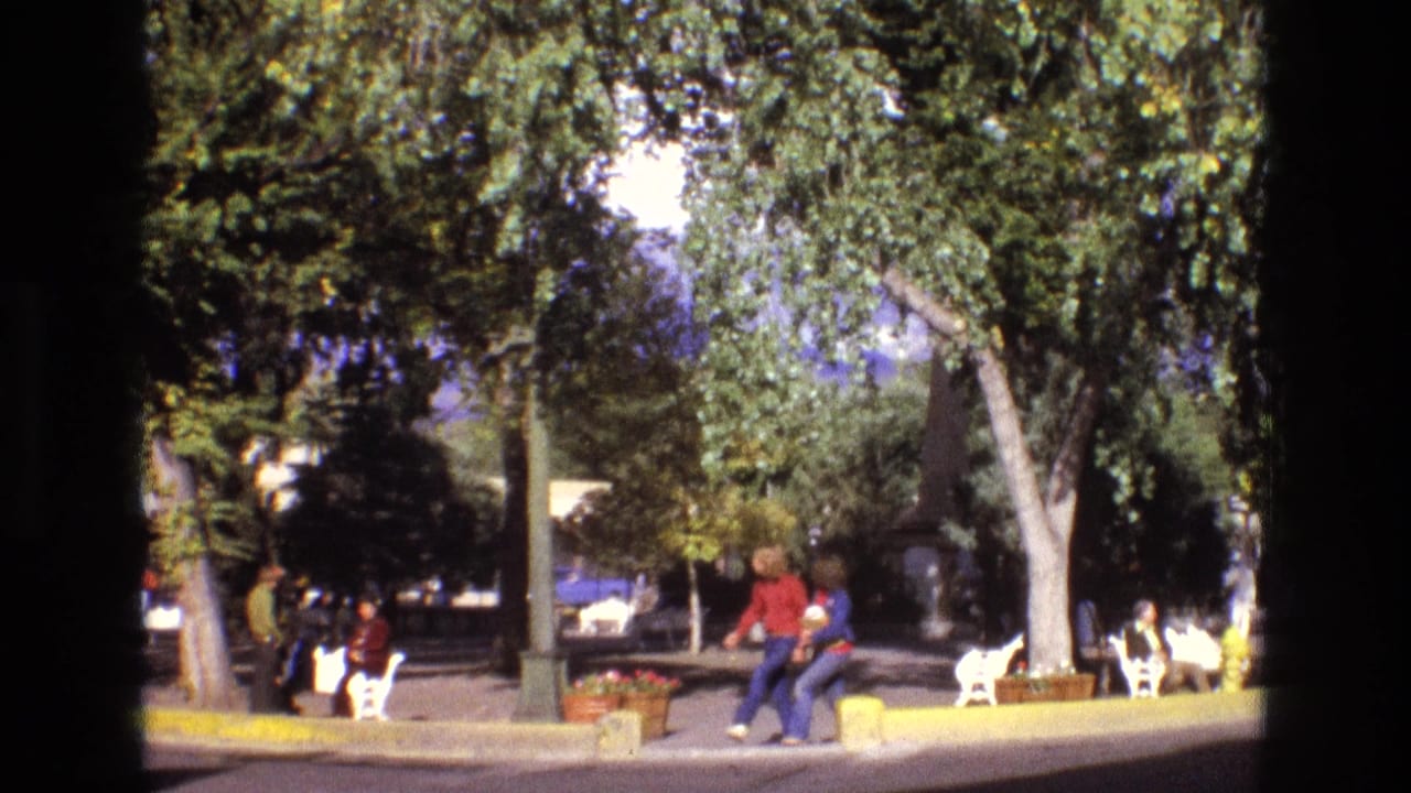 People sit and walk near white benches under large trees in a sunny park.