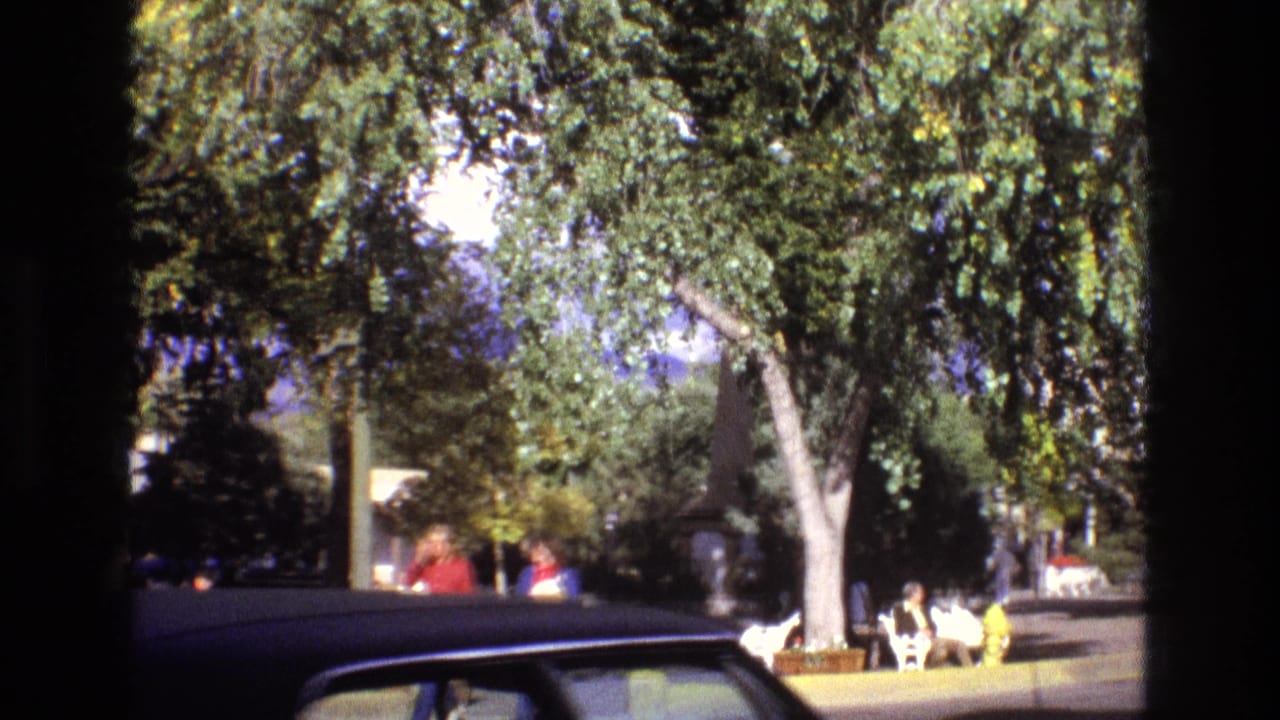 A dark car passes the foreground while people sit near benches under trees.