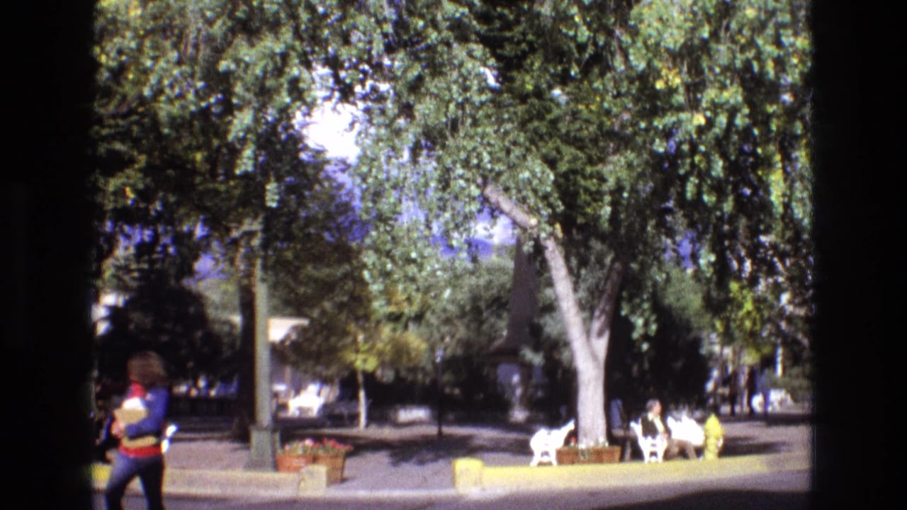 1973 New Mexico plaza view with people sitting and walking beneath large trees while a white goat appears near the benches in the sunlit square.