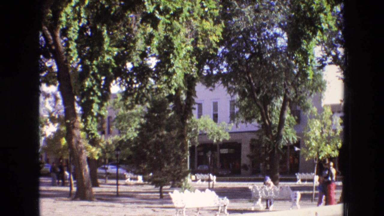 White benches beneath large trees in a town park with pedestrians and cars beyond.