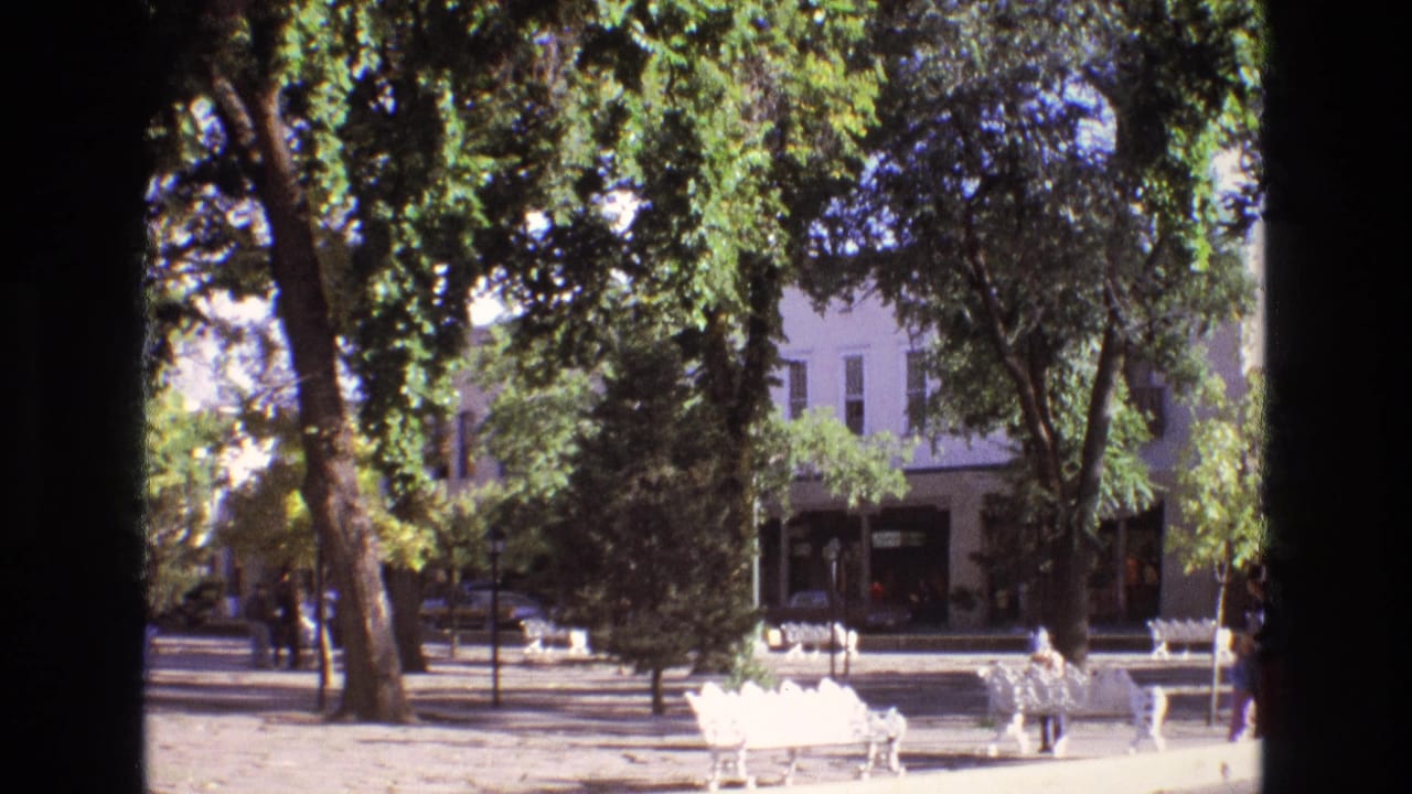 A 1973 New Mexico park view with white benches, heavy tree shade, a quiet road, parked cars, and low buildings beyond the park edge.