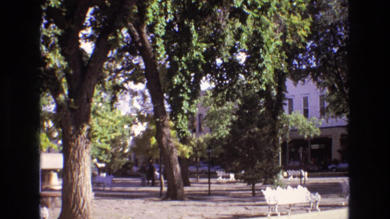 Tree-shaded plaza with white benches and buildings across the street.