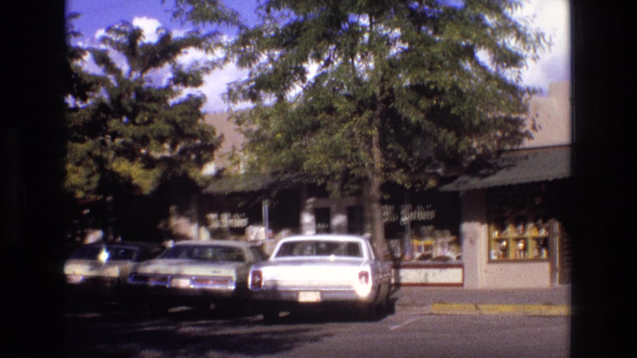 Storefronts and curbside cars seen through trees on a sunny street.
