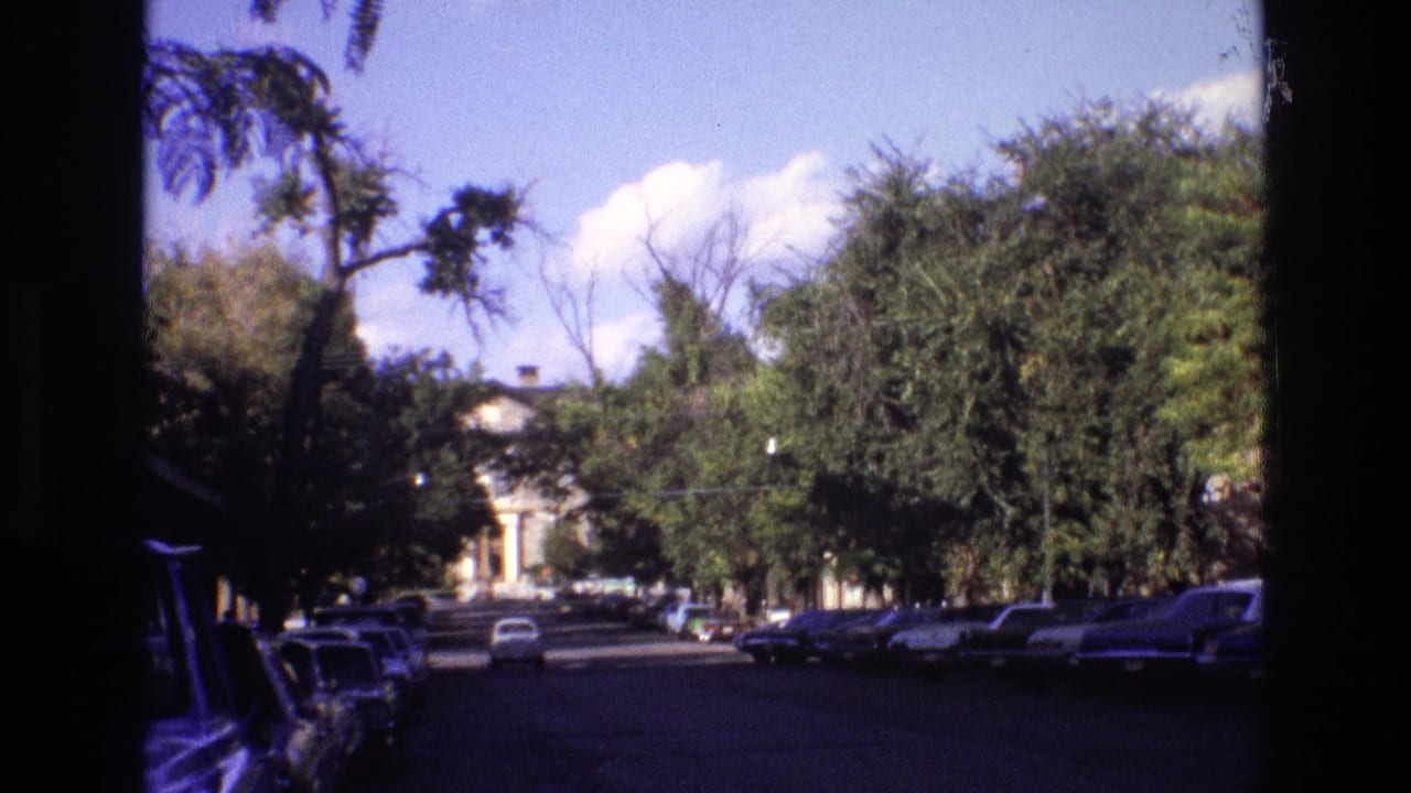 1973 New Mexico street view with rows of parked cars, leafy trees, bright sky, and a car advancing along the roadway.